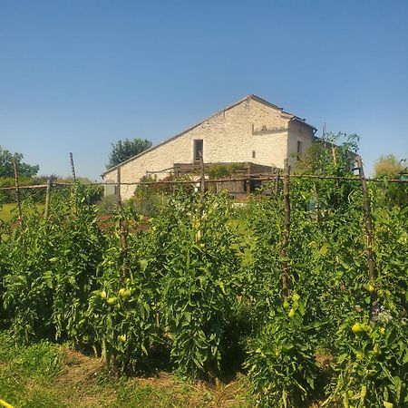 Au Mas De Janita Hotel Cahuzac-sur-Vère Екстериор снимка