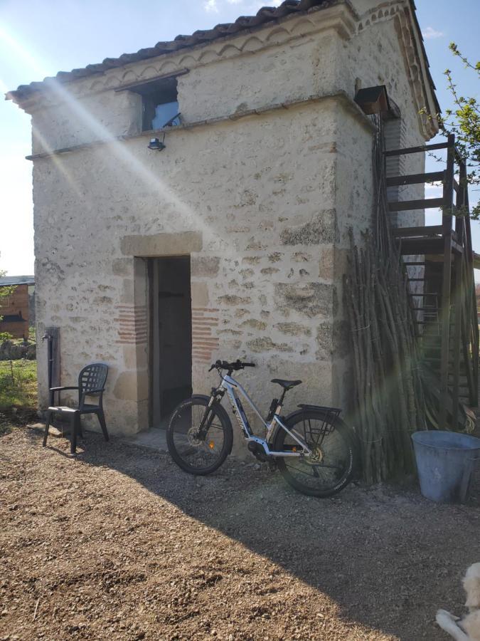 Au Mas De Janita Hotel Cahuzac-sur-Vère Екстериор снимка