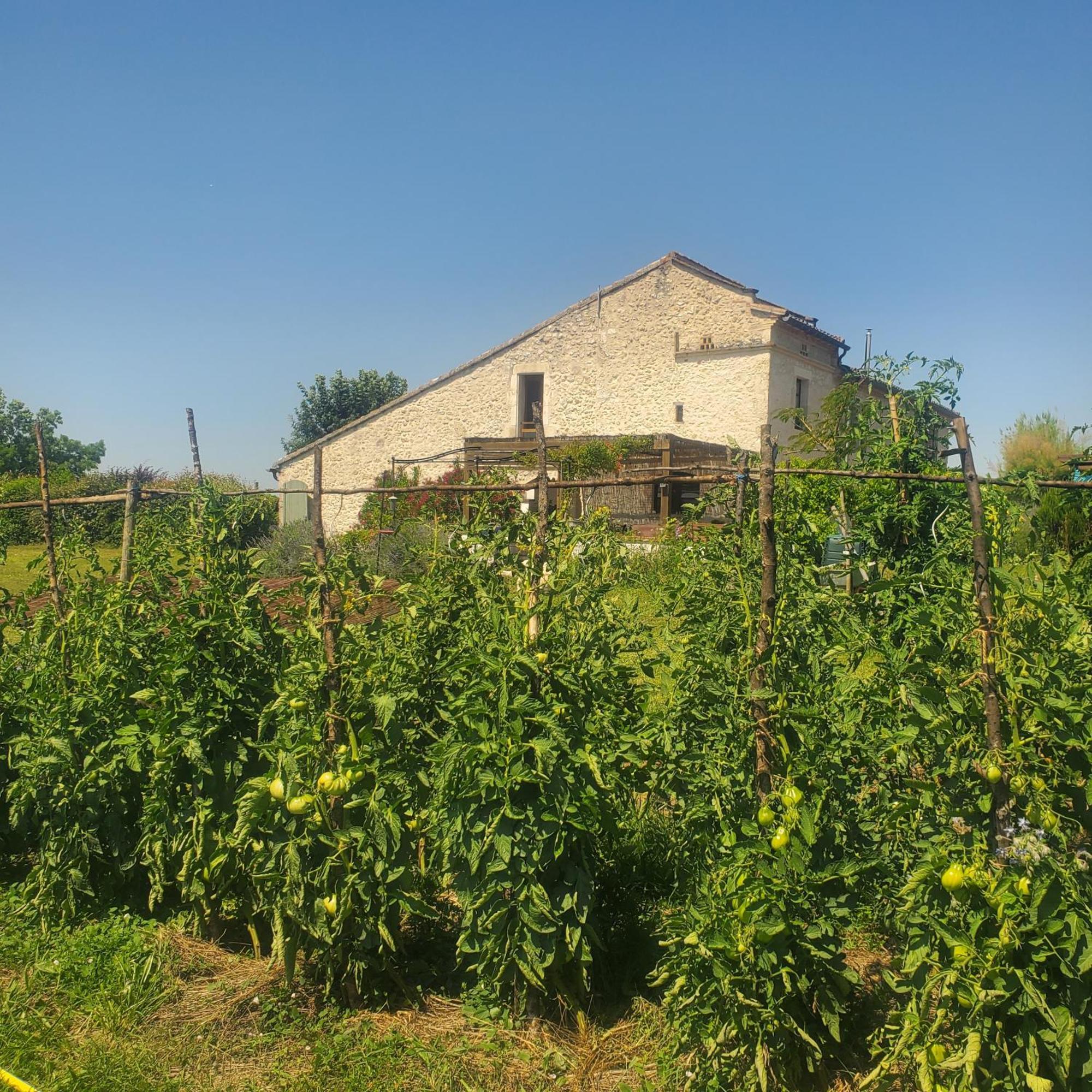 Au Mas De Janita Hotel Cahuzac-sur-Vère Екстериор снимка